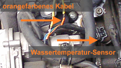 Sensor für Wassertemperatur am Roller Sensor für Wassertemperatur am Roller