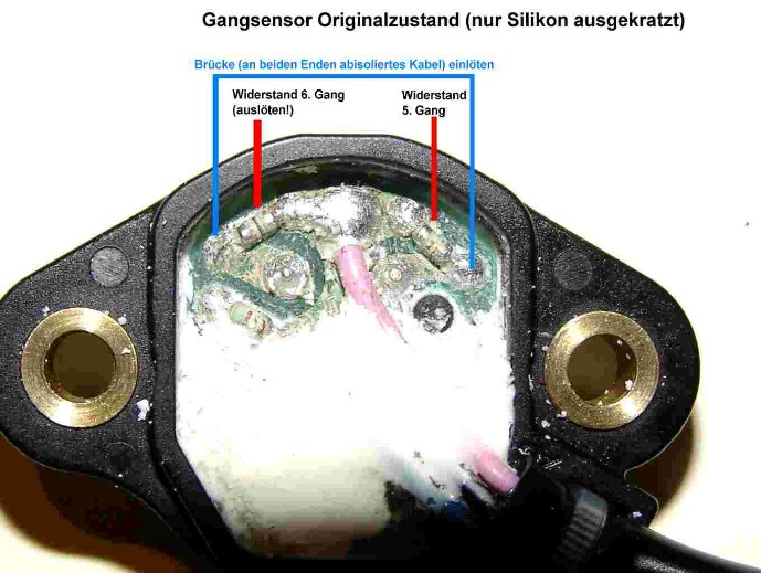 Suzuki Gangsensor